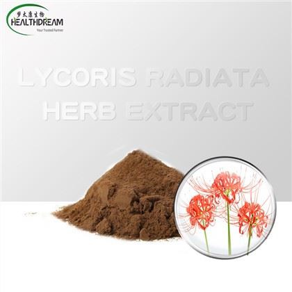 Sliocht Luibh Lycoris Radiata